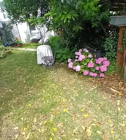 Casa In Mezzo Al Gasthof